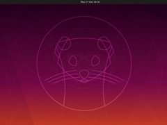 Ubuntu 19.10 ڱֹ֧֣ͣٷǨ Ubuntu 20.04